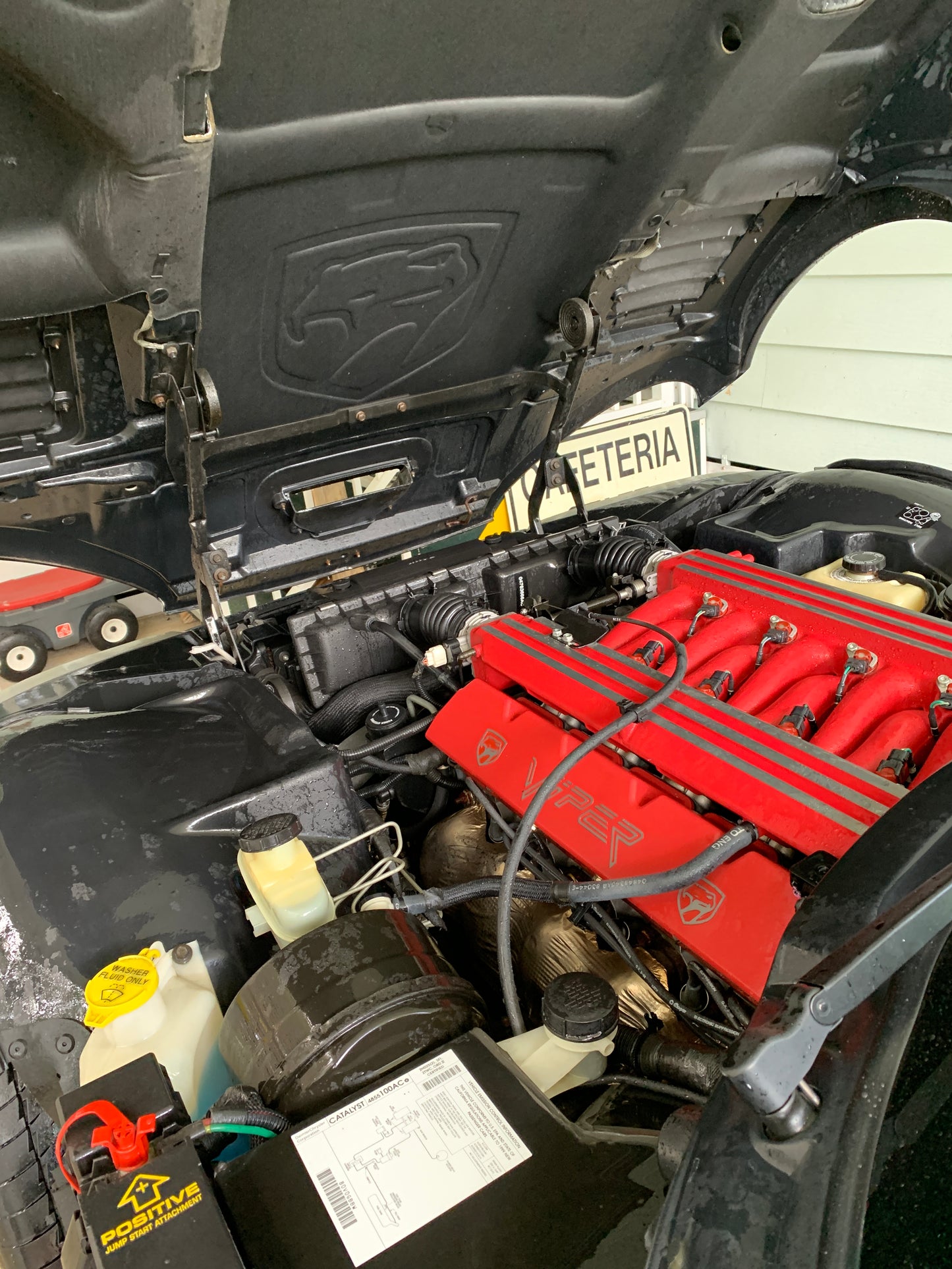 Cleaned and polished engine bay: A mark of our expertise.