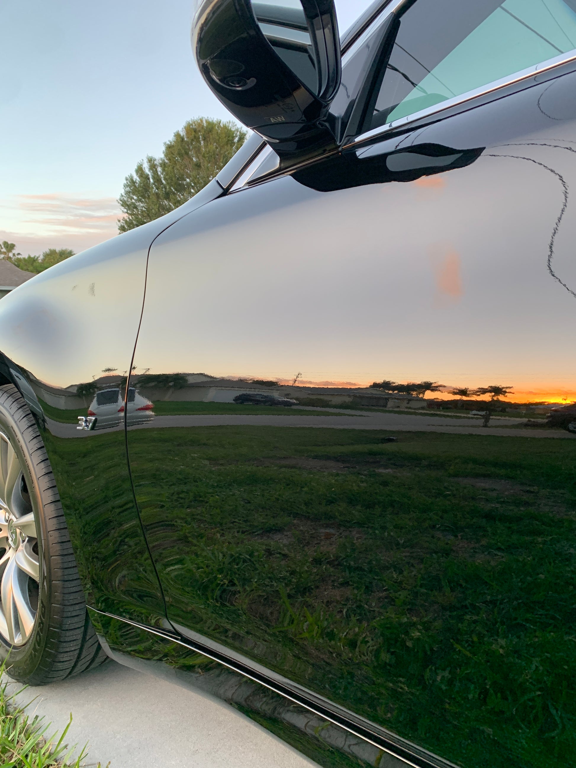 Detailer's touch in paint correction: The key to a flawless shine.